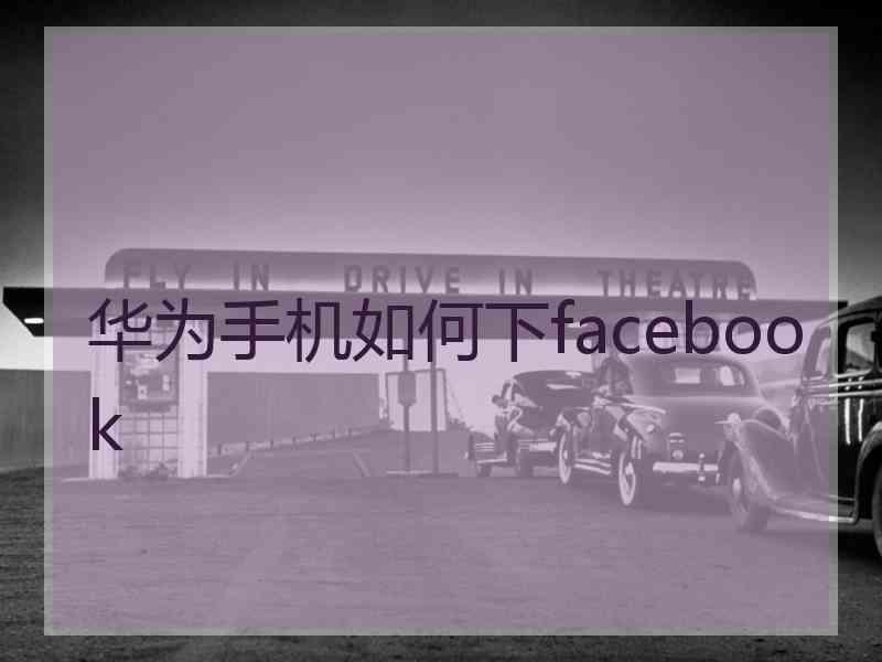 华为手机如何下facebook