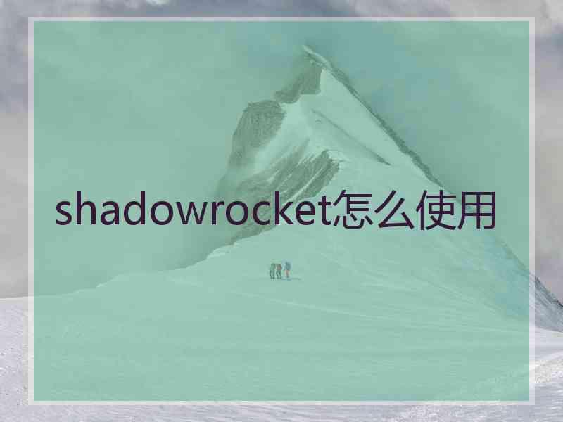 shadowrocket怎么使用