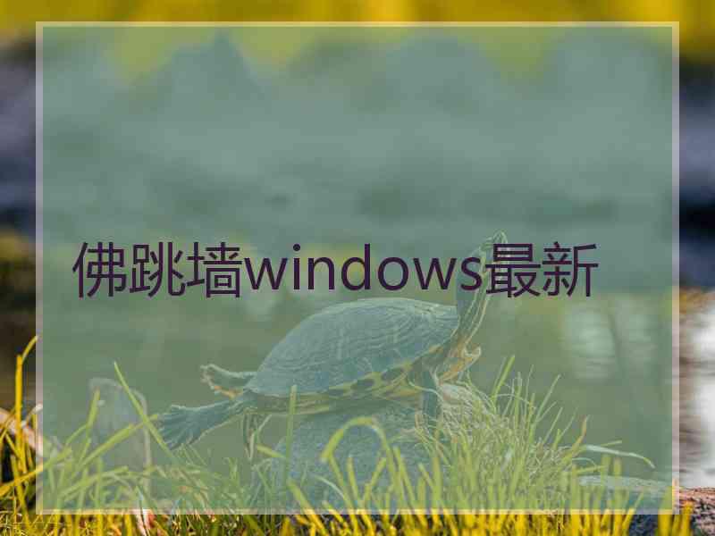 佛跳墙windows最新