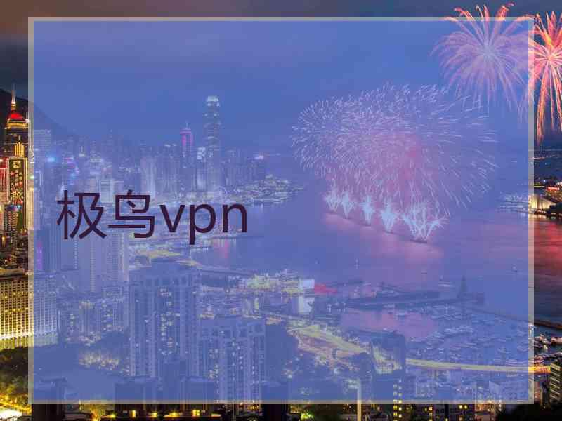 极鸟vpn