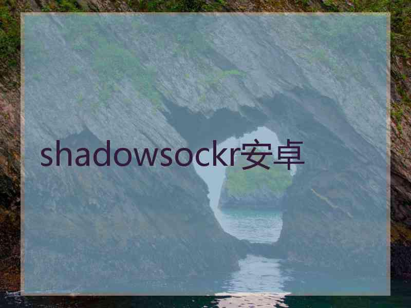 shadowsockr安卓