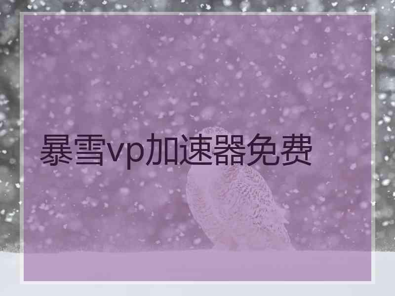 暴雪vp加速器免费