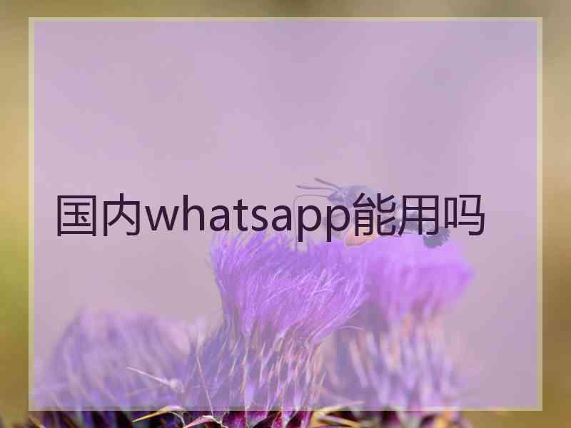 国内whatsapp能用吗