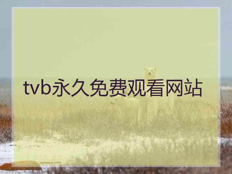 tvb永久免费观看网站