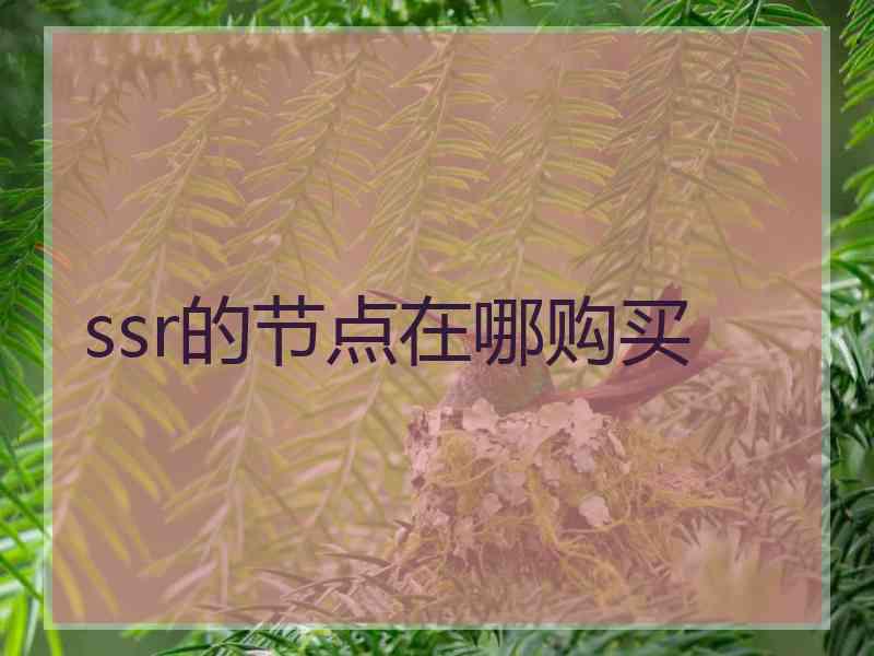 ssr的节点在哪购买