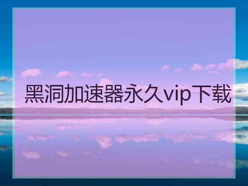 黑洞加速器永久vip下载