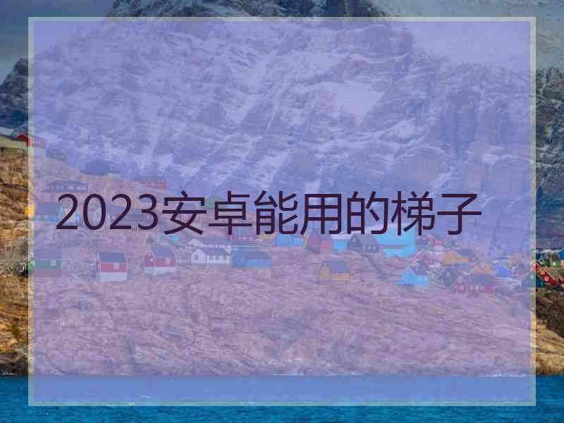 2023安卓能用的梯子