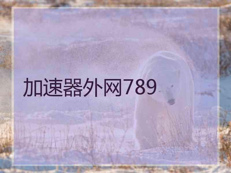 加速器外网789