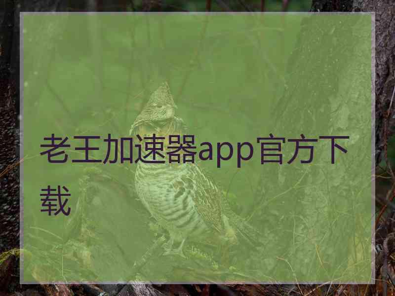 老王加速器app官方下载