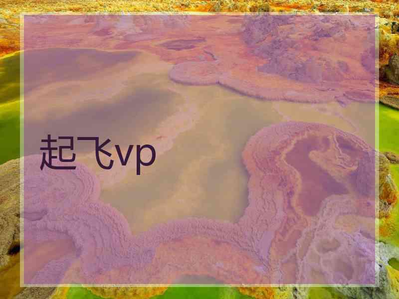 起飞vp