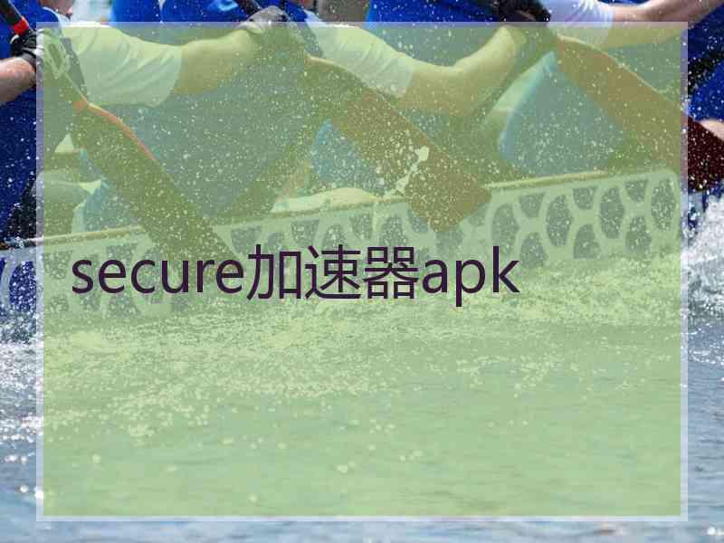 secure加速器apk