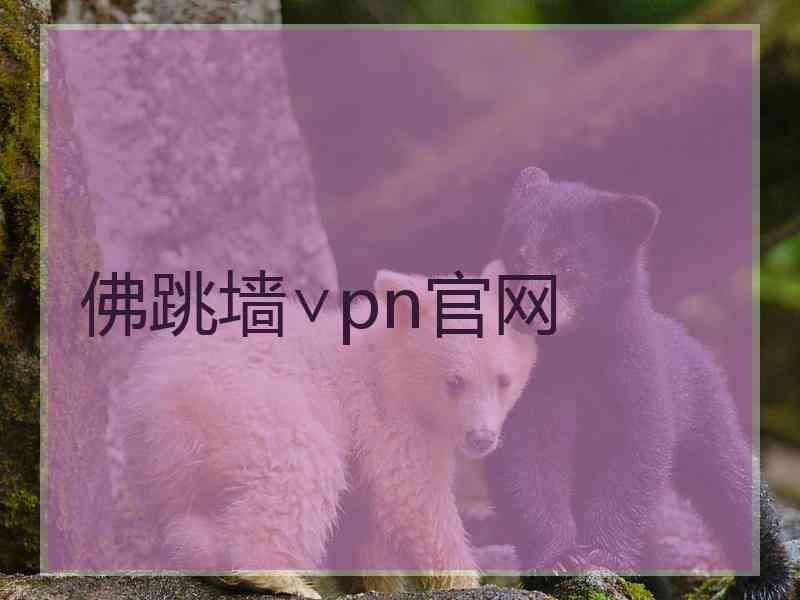 佛跳墙∨pn官网