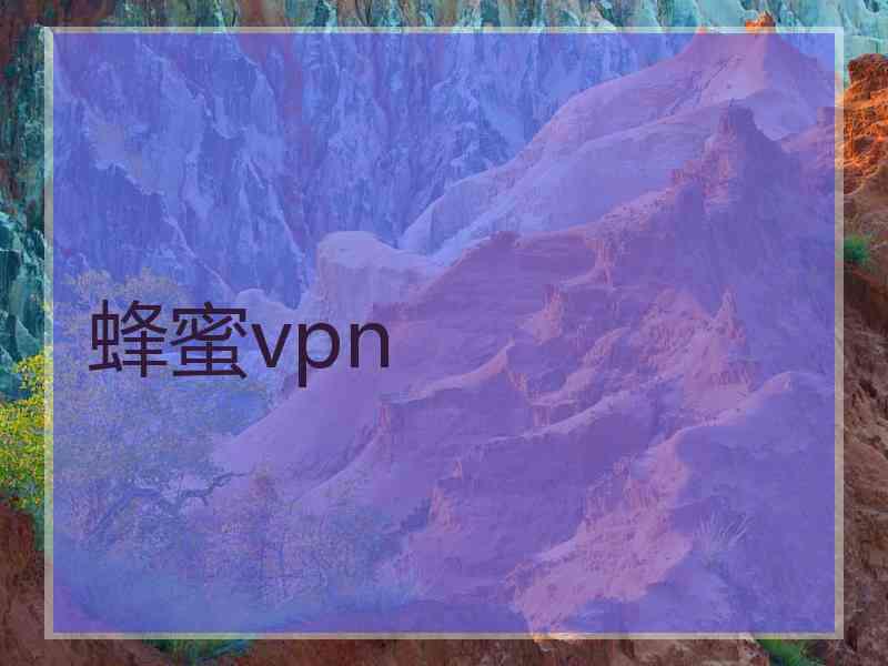 蜂蜜vpn