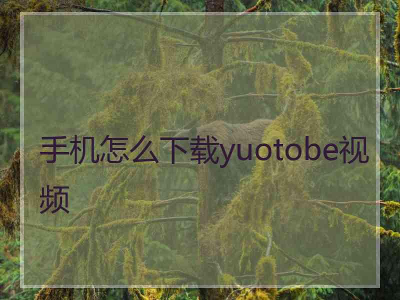 手机怎么下载yuotobe视频