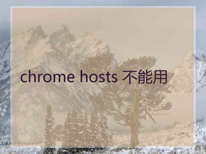 chrome hosts 不能用