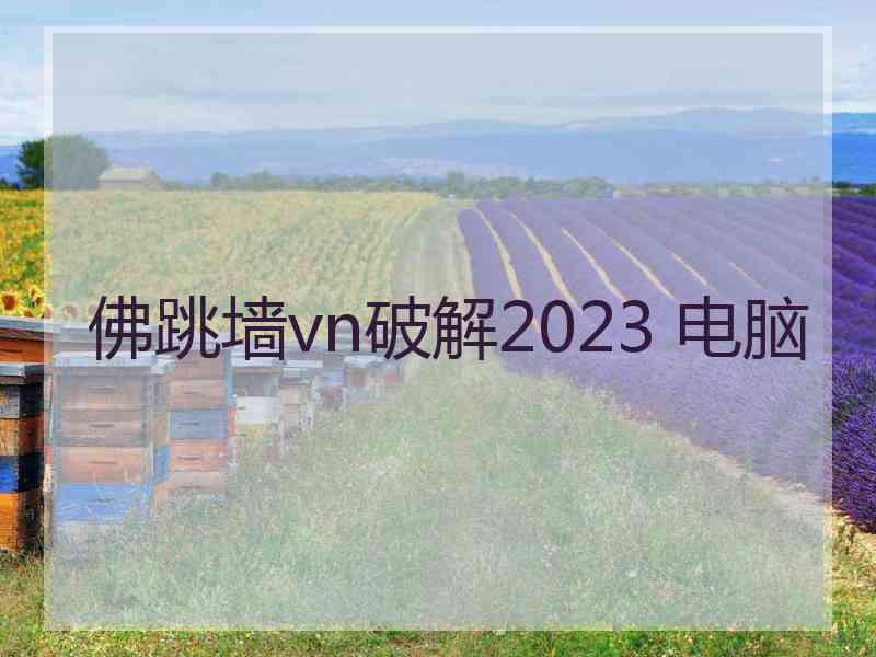 佛跳墙vn破解2023 电脑