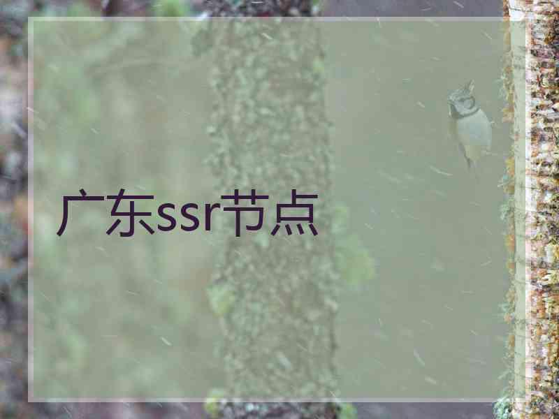 广东ssr节点