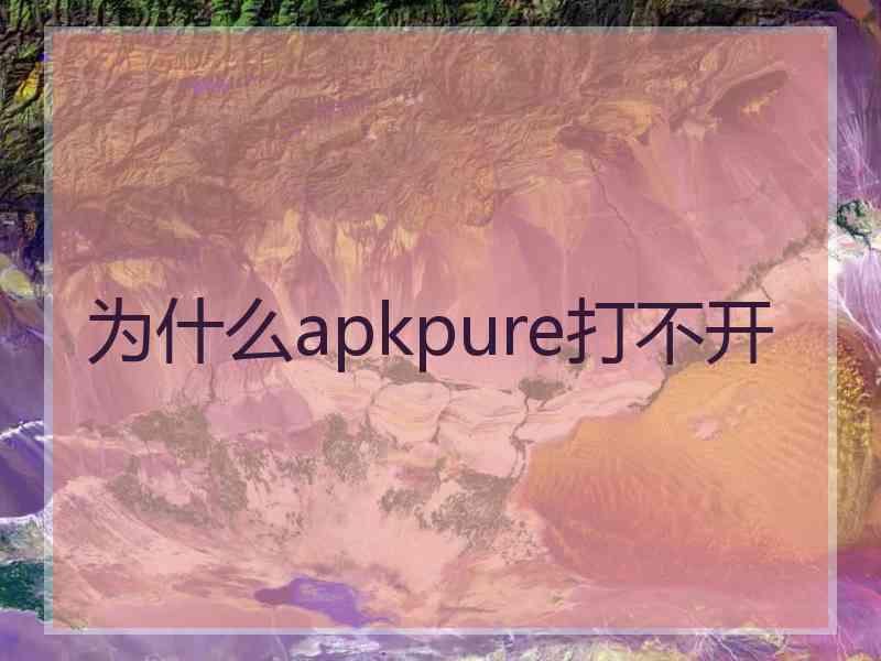 为什么apkpure打不开