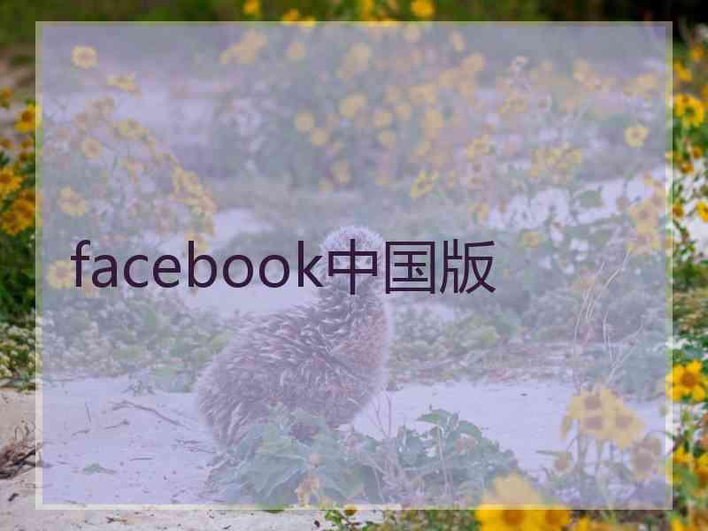 facebook中国版