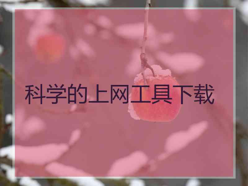 科学的上网工具下载