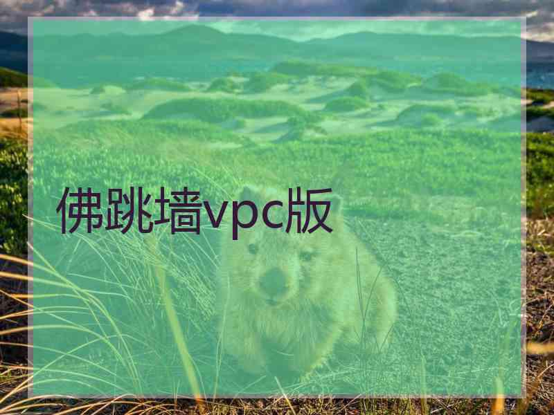 佛跳墙vpc版