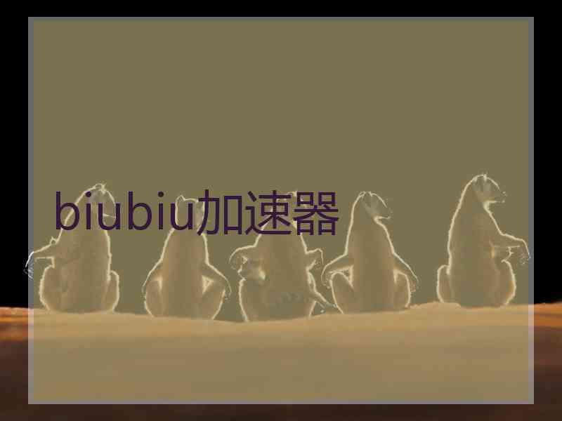 biubiu加速器