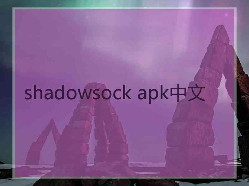 shadowsock apk中文