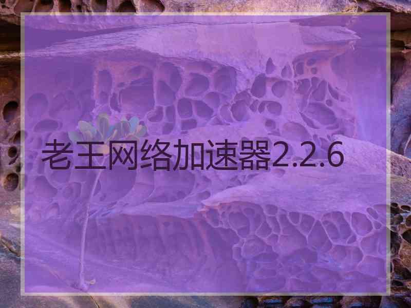 老王网络加速器2.2.6