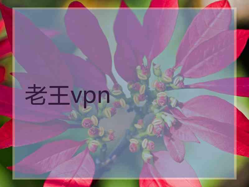 老王vpn