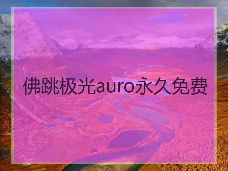 佛跳极光auro永久免费