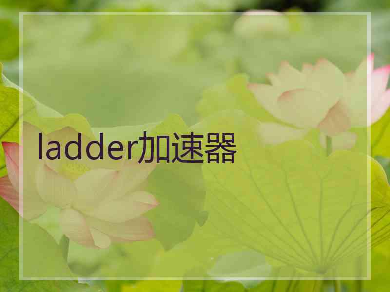 ladder加速器