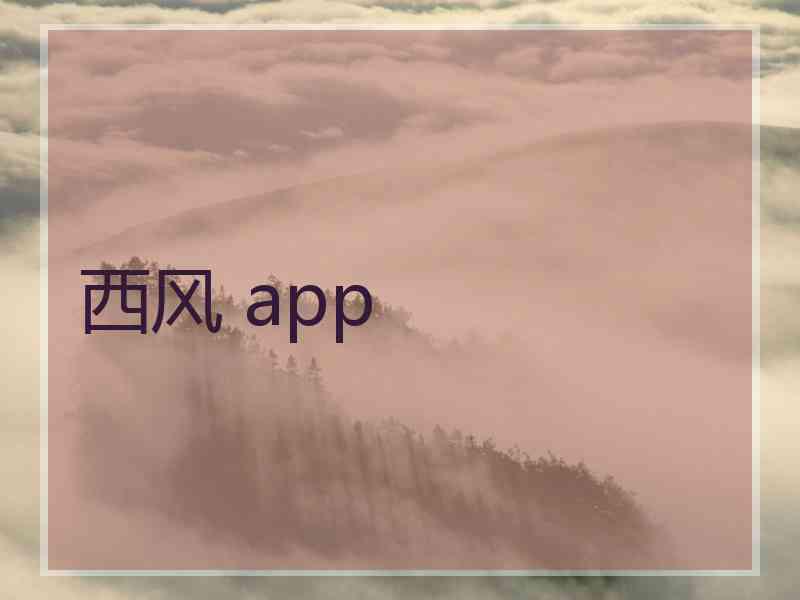 西风 app