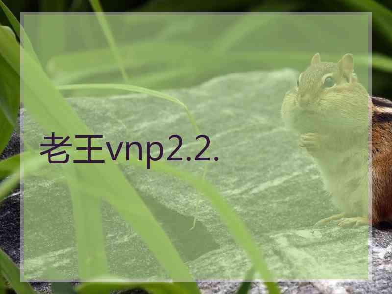 老王vnp2.2.