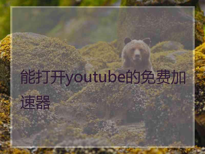 能打开youtube的免费加速器