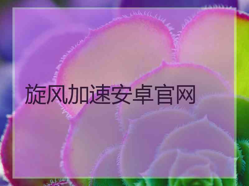 旋风加速安卓官网