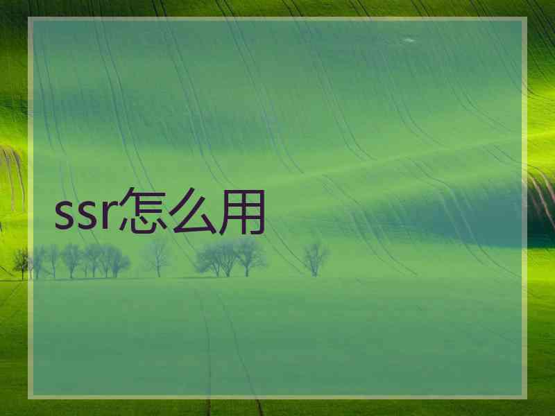 ssr怎么用