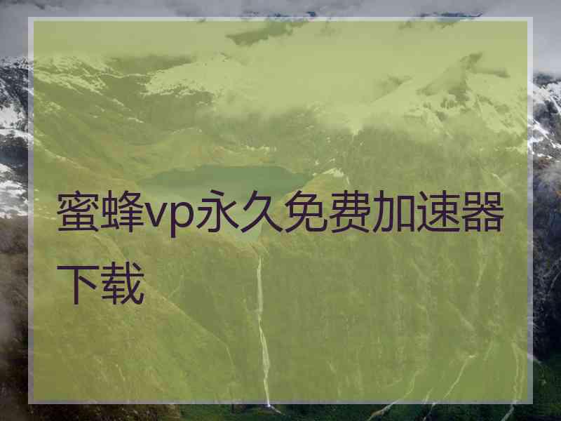 蜜蜂vp永久免费加速器下载