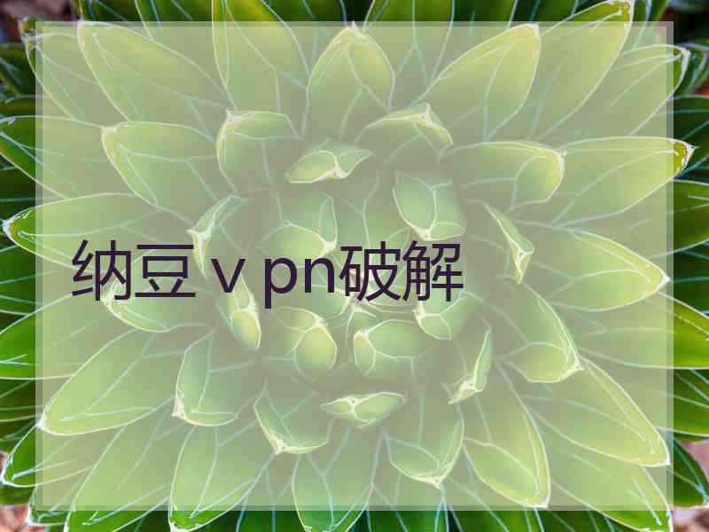 纳豆ⅴpn破解