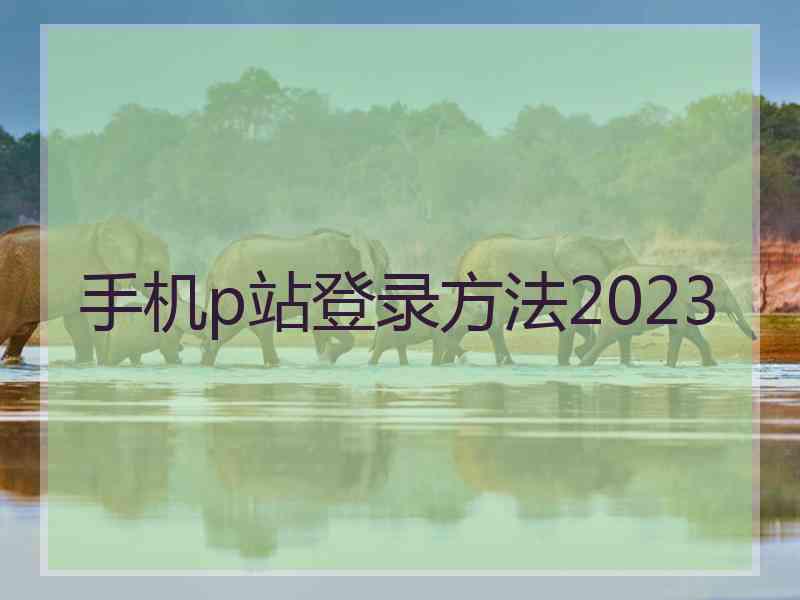 手机p站登录方法2023