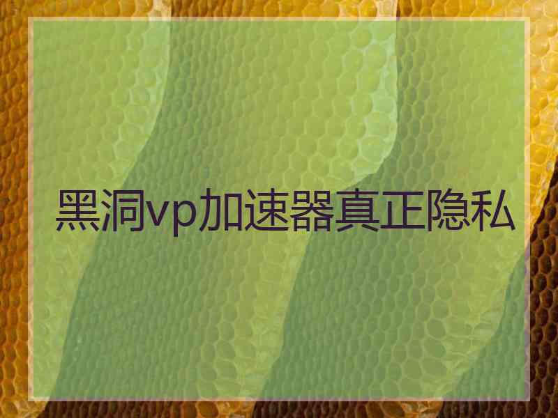 黑洞vp加速器真正隐私