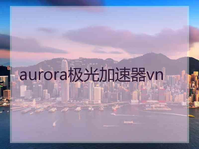 aurora极光加速器vn