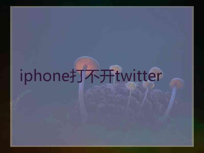 iphone打不开twitter