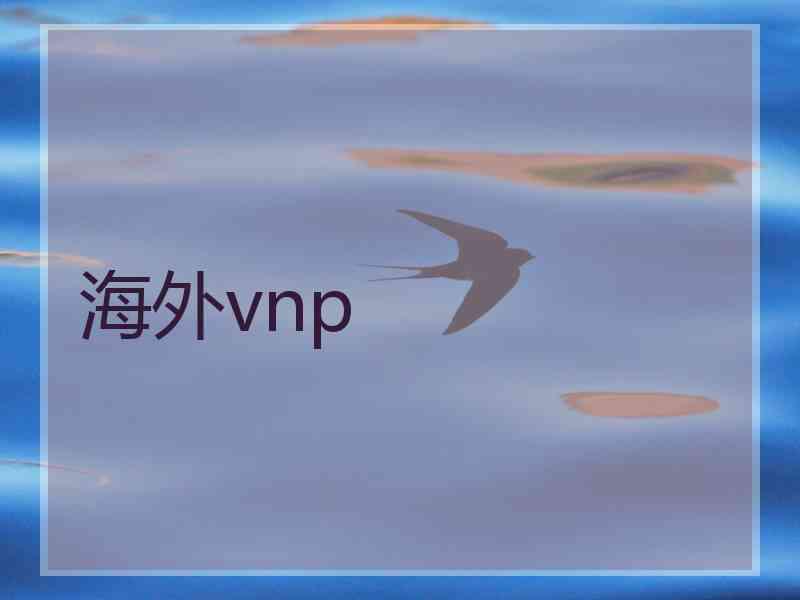 海外vnp