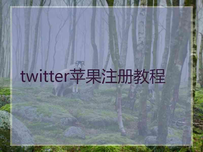 twitter苹果注册教程