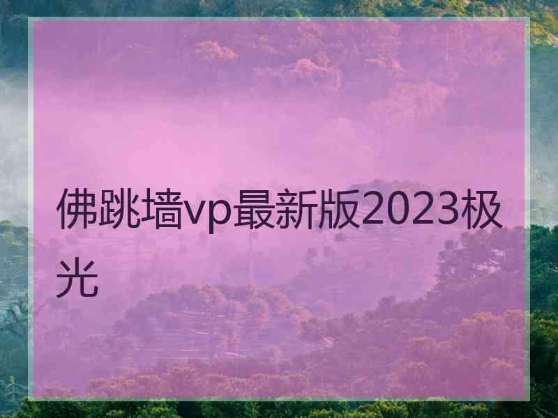 佛跳墙vp最新版2023极光