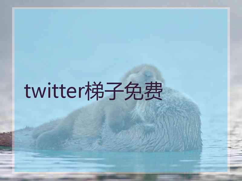 twitter梯子免费