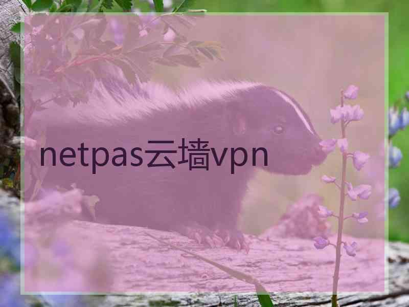 netpas云墙vpn