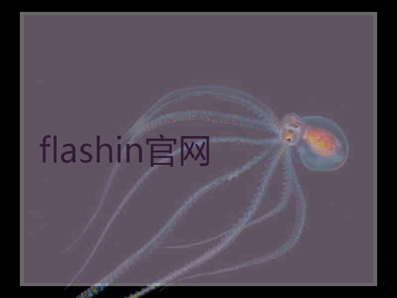 flashin官网