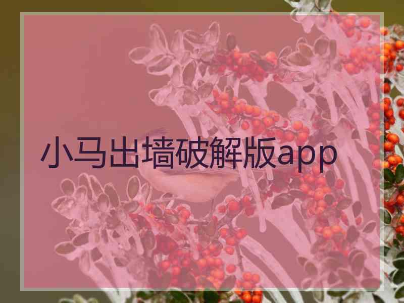 小马出墙破解版app