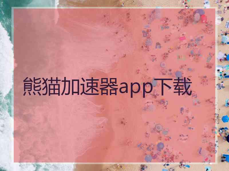 熊猫加速器app下载